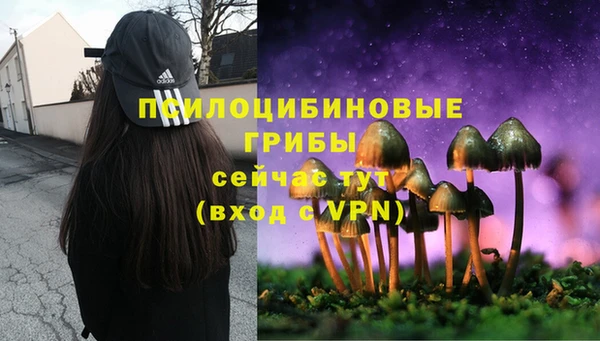 гидропоника Бородино