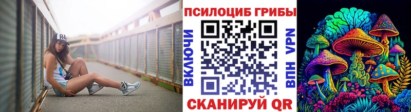блэк спрут как зайти  Ивантеевка  Галлюциногенные грибы MAGIC MUSHROOMS 